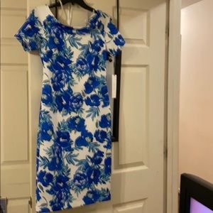 NWT Calvin Klein Dress